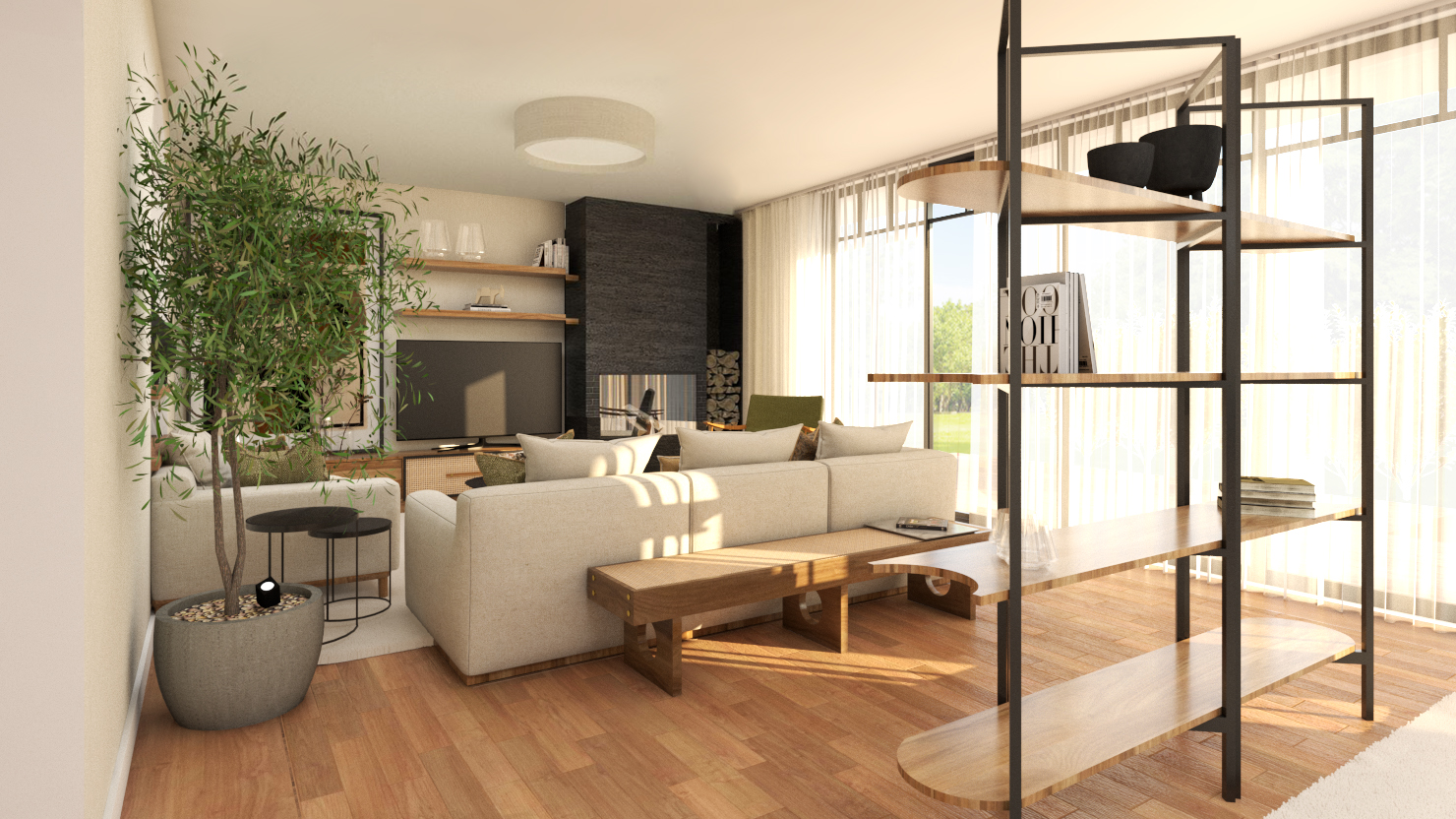 ccrender1aPSNV
